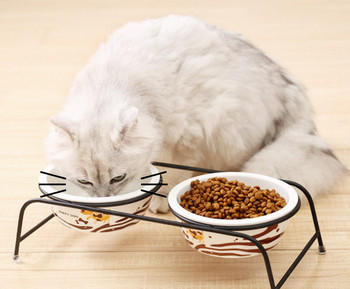 Μεταλλική βάση με κεραμικά μπολ για φαγητό και νερό για γάτες