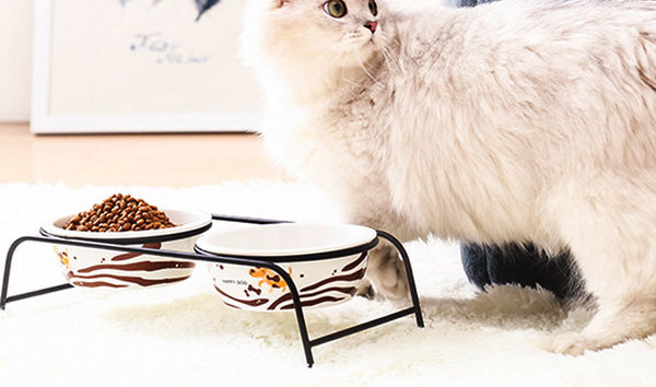 Suport metalic cu boluri ceramice pentru hrana si apa pentru pisici