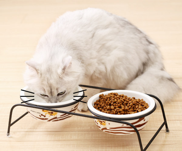 Suport metalic cu boluri ceramice pentru hrana si apa pentru pisici