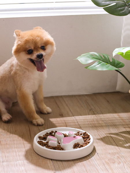 Kassi kauss aeglaseks toitmiseks