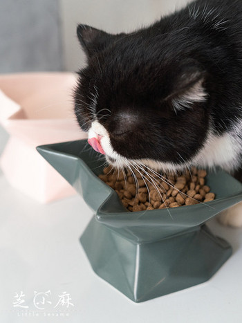 Δοχείο τροφής για γάτες