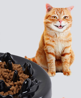 Кръгла купа за бавно хранене - подходяща за котки
