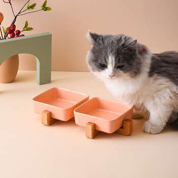 Τετράγωνο κεραμικό μπολ με βάση για γάτες