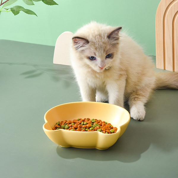 Κεραμικό μπολ γάτας