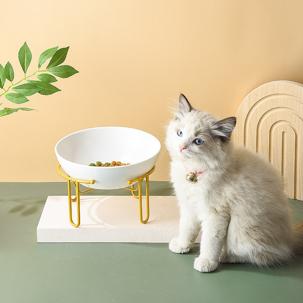 Μπολ για γάτες με βάση