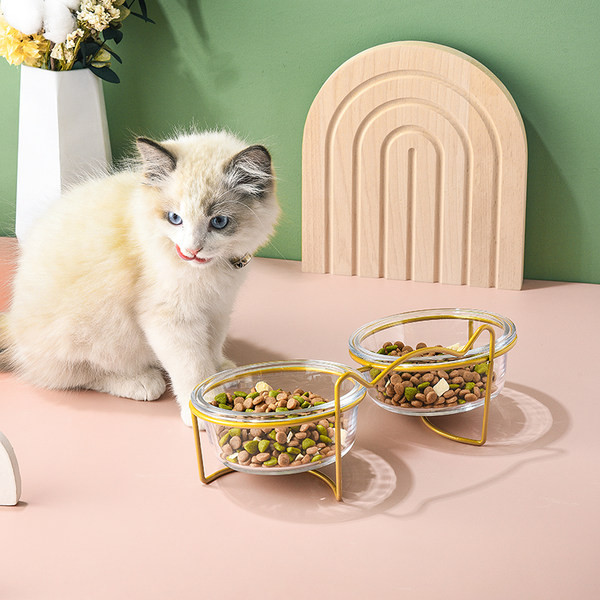 Kahekordne alus klaaskaussidega kassitoidu jaoks