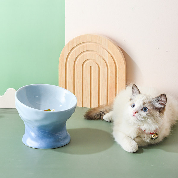 Υψηλό κεραμικό μπολ για γατοτροφή