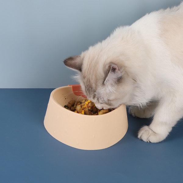 Купа за храна на котки