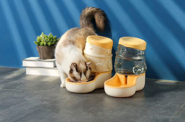 Kauss toidu säilitusnõuga