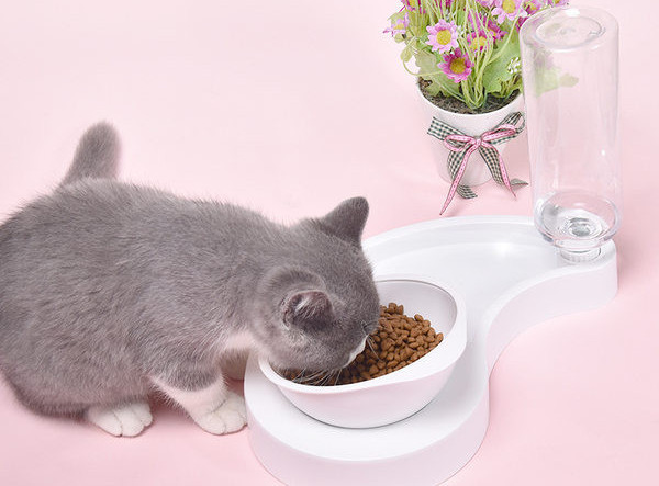 Автоматичен диспенсър за вода и купа за храна - за котки