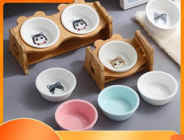 Bol dublu pentru hrana pisicilor