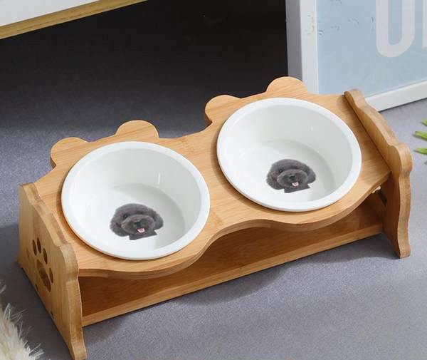 Bol dublu pentru hrana pisicilor