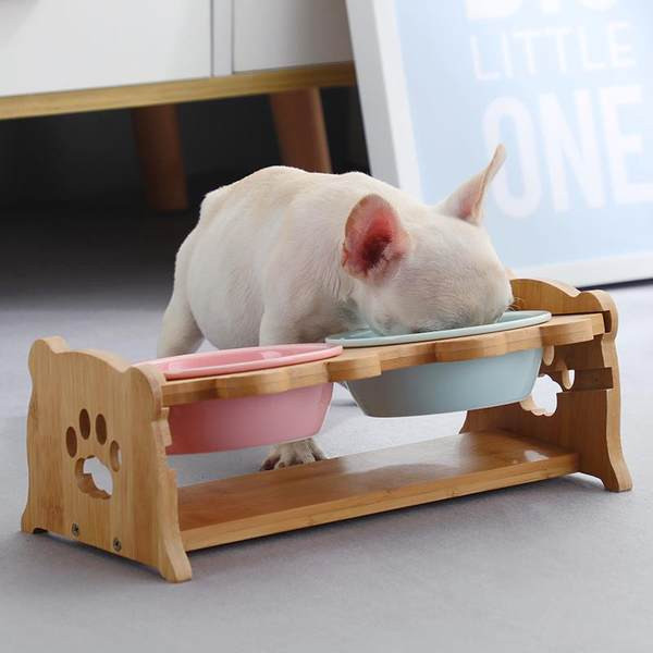 Bol dublu pentru hrana pisicilor