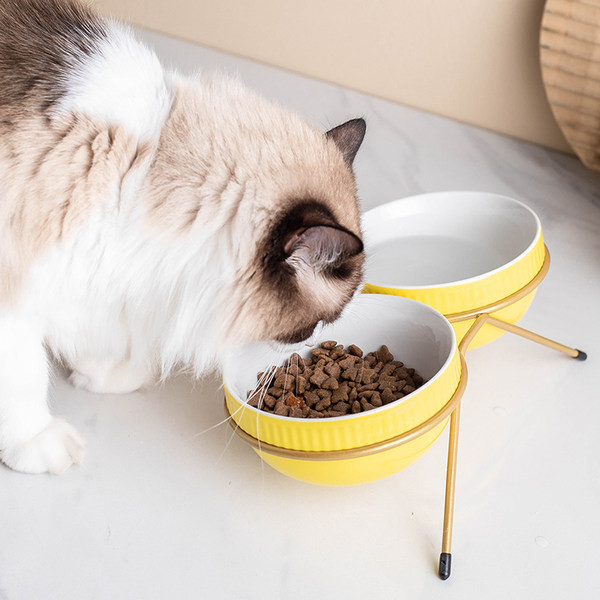 Κεραμικό μπολ φαγητού με απλικέ