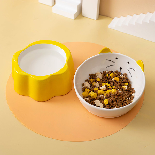 Keraamiline kauss kassitoidu jaoks - mitu mudelit