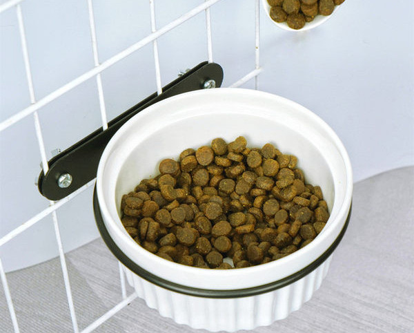 Keraamiline kauss metallist alusega koeratoidu jaoks