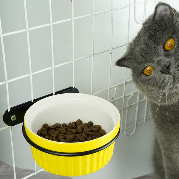 Keraamiline kauss metallist alusega koeratoidu jaoks