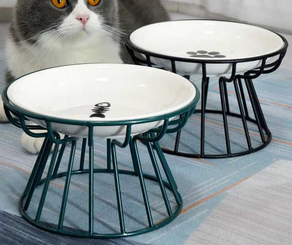 Bol pentru pisici cu sau fără suport