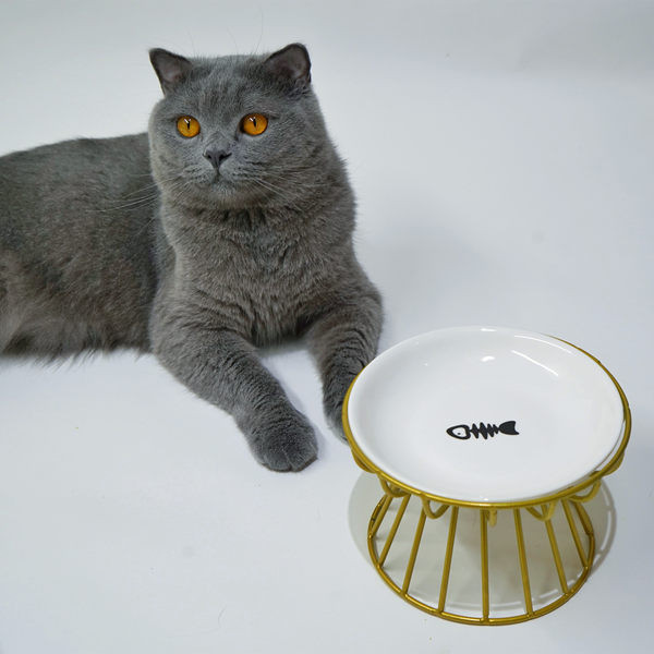 Bol pentru pisici cu sau fără suport