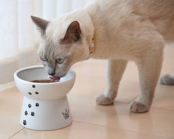 Κεραμικό ψηλό μπολ για φαγητό ή νερό για γάτες