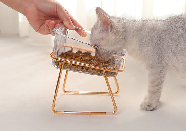 Toidu- või veekauss – alusega