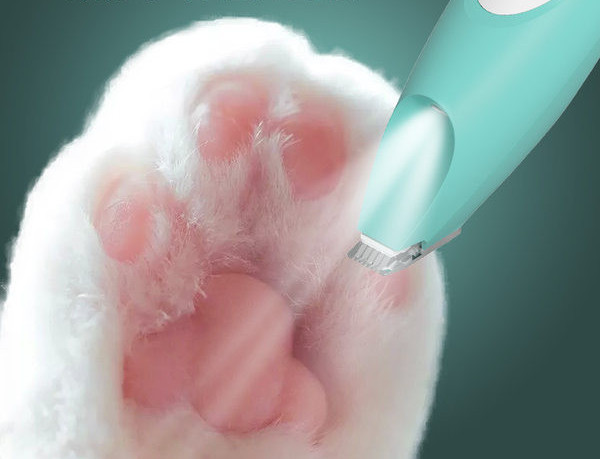 Elektriline trimmer kassidele