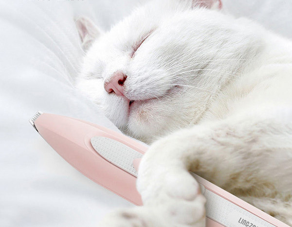 Elektriline trimmer kassidele