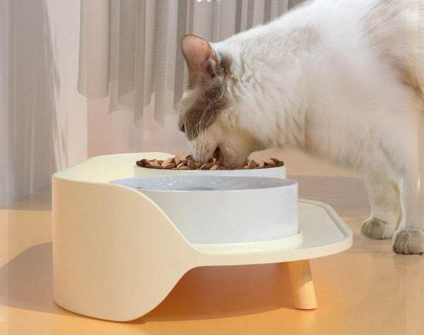 Kahekordne puidust jalgadega kassikauss - kaks suurust