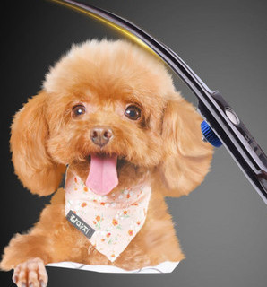 Scissors for grooming a dog - several models