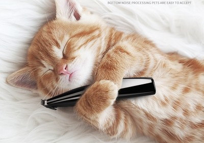 Lemmikloomade lõikur