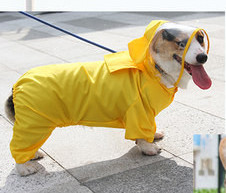Pelernă de ploaie pentru câini - mai multe modele