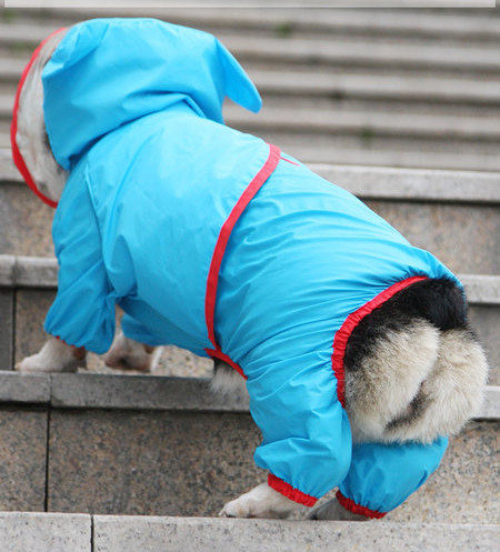 Pelernă de ploaie pentru câini - mai multe modele