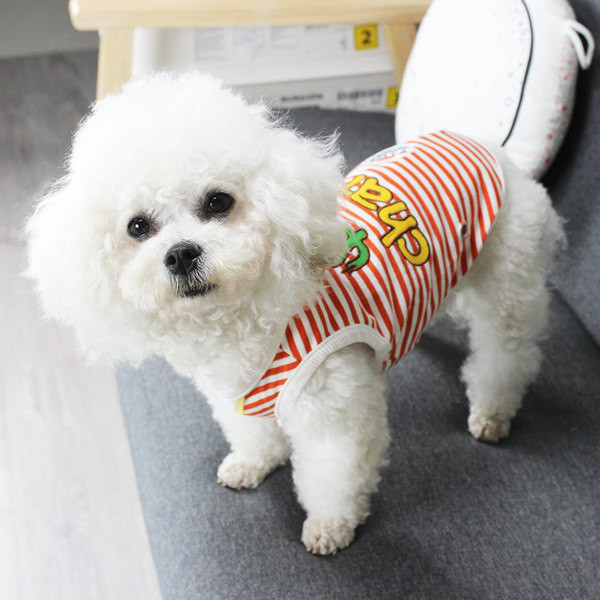 Prugasta bluza za psa s aplikacijom u boji