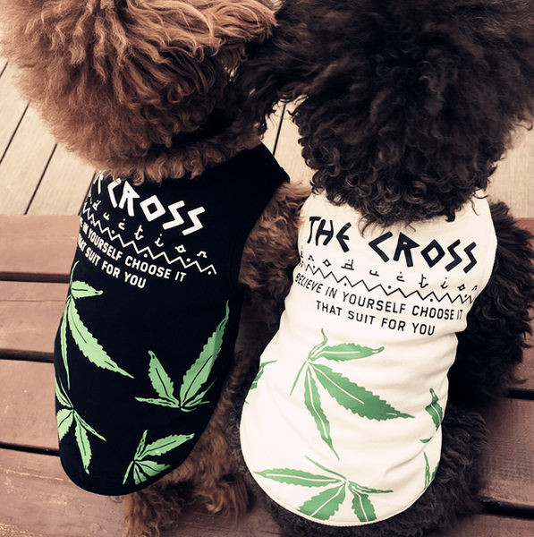 Bluză pentru câini de vară - diferite modele