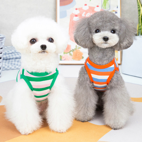 Vesta eleganta in dungi pentru caini cu broderie