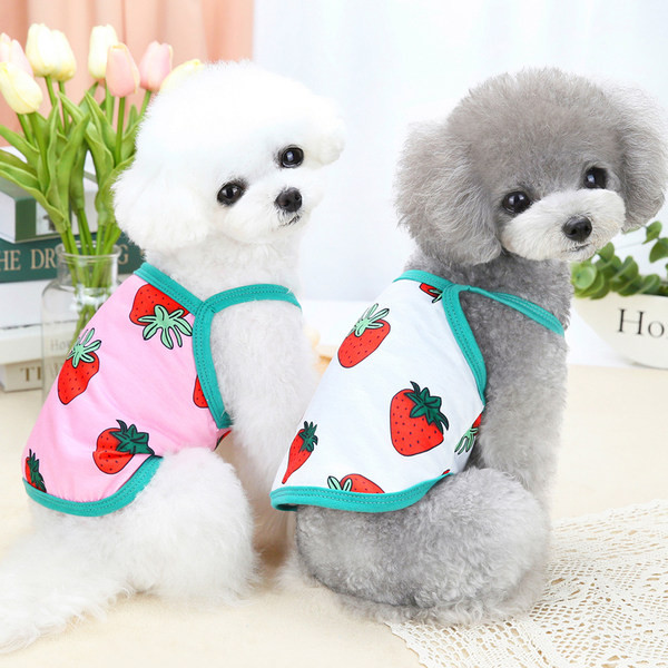 Актуален потник с щампа за кучета