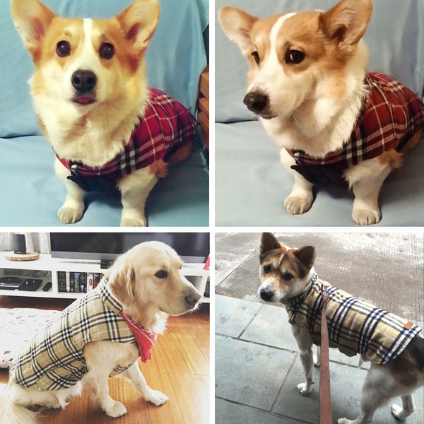 Moderni karirani dvostrani prsluk za pse