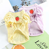 Suvised lokkide ja tikanditega koerariided