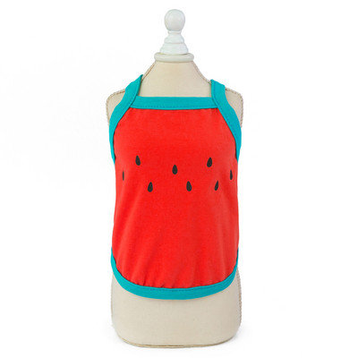 Praegune õhukeste rihmadega koerte koer