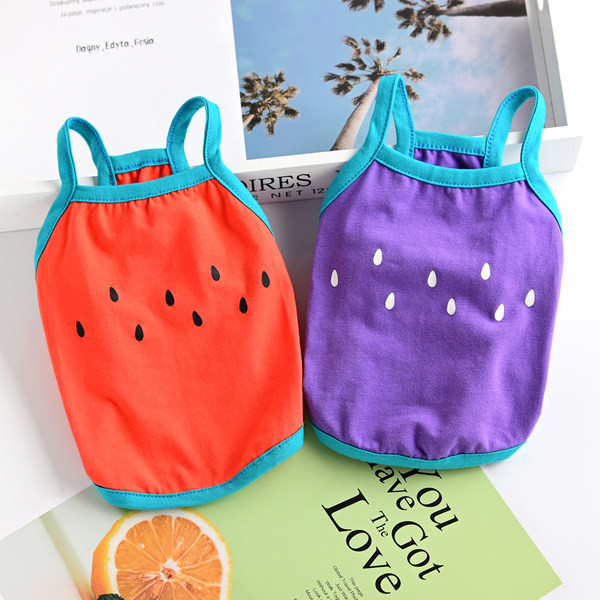 Praegune õhukeste rihmadega koerte koer