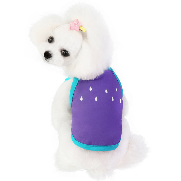 Praegune õhukeste rihmadega koerte koer