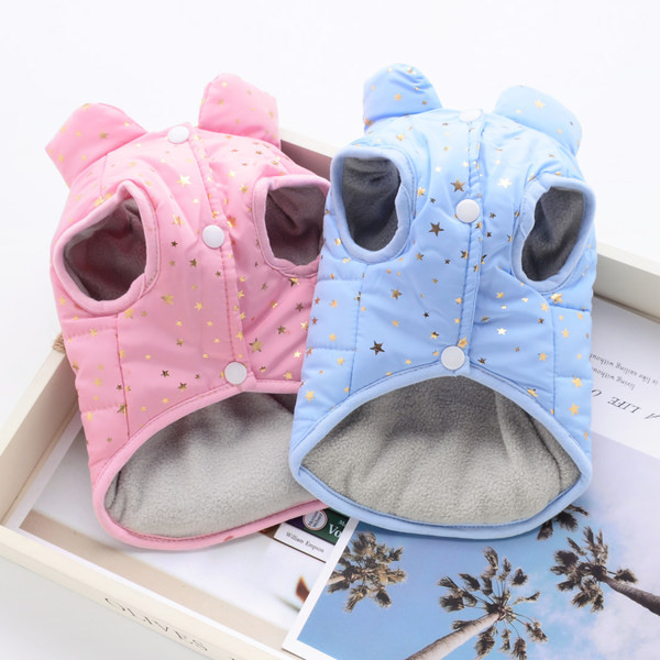 Talveriided koertele