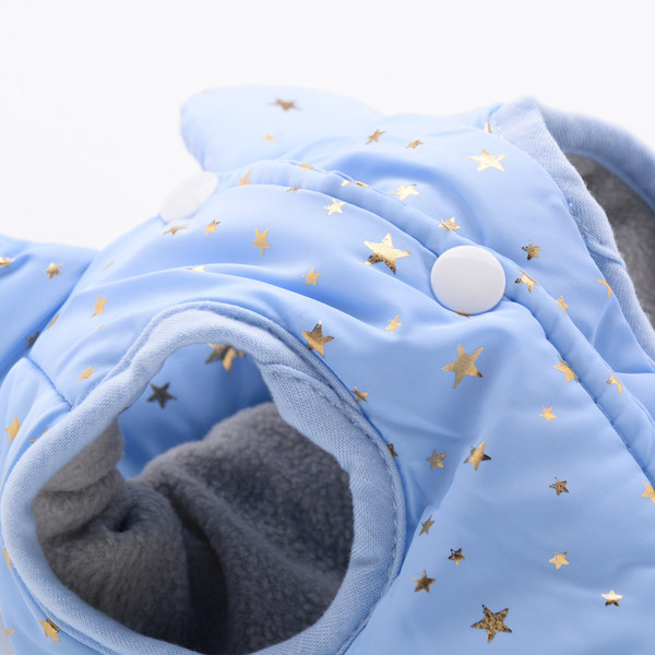 Talveriided koertele