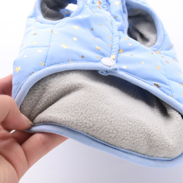 Talveriided koertele