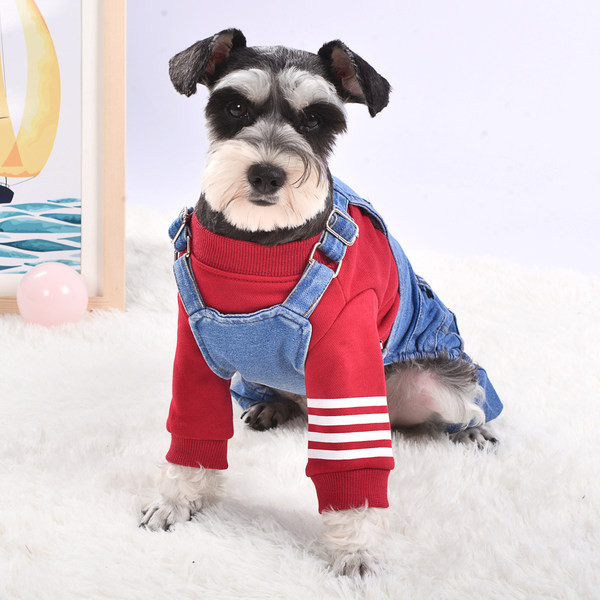 Salopeta din denim pentru caini