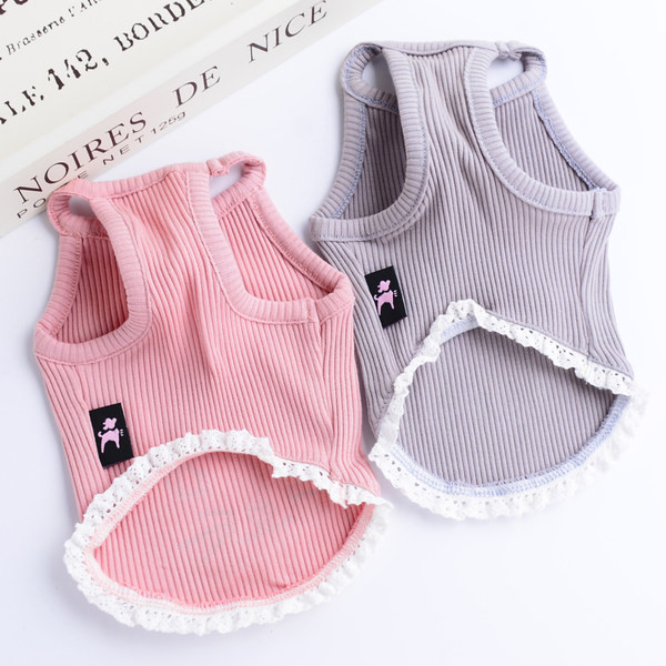 Velvetist pitsiga topp koertele