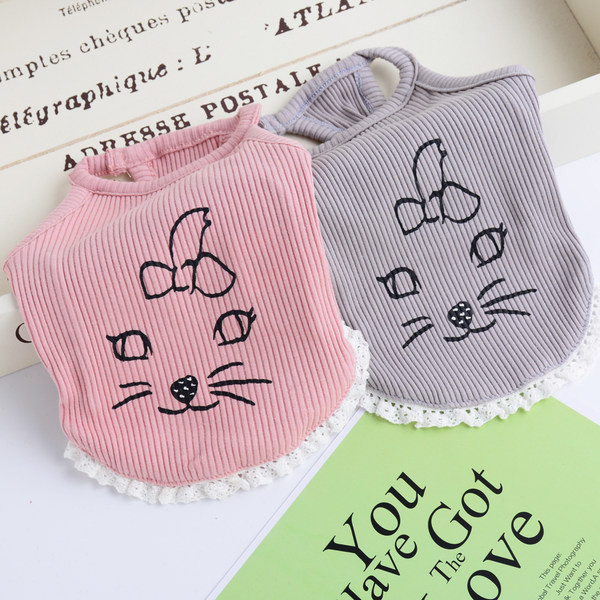 Velvetist pitsiga topp koertele