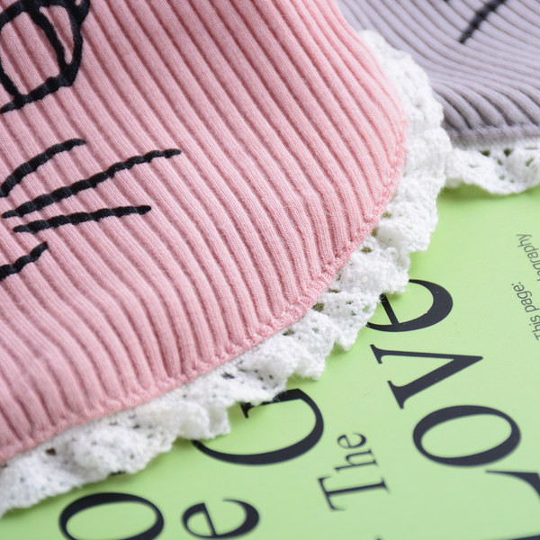 Velvetist pitsiga topp koertele