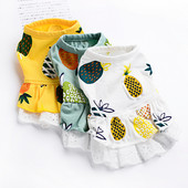 Fusta moderna pentru caini in doua modele