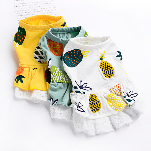 Fusta moderna pentru caini in doua modele